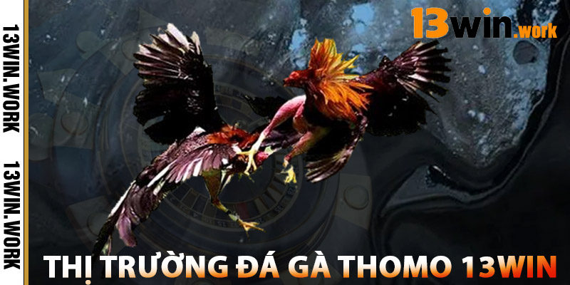 Đánh Giá Thị Trường Đá Gà Thomo 13WIN